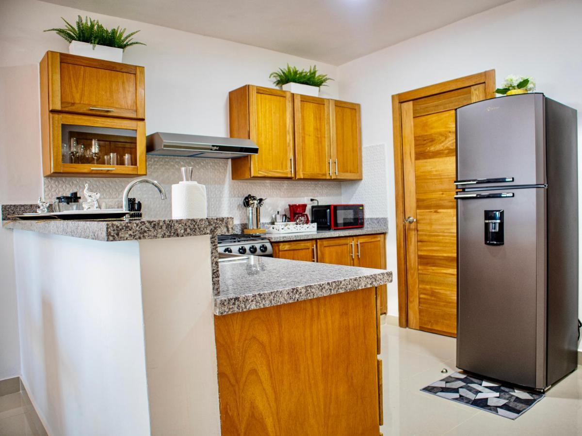 Super Luxurious L6 Sky Blue Apartment Santo Domingo Kültér fotó